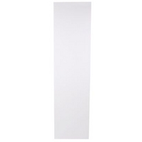 Cooke & Lewis High Gloss White Clad-On Tall Larder Panel