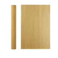 Cooke &amp; Lewis Clevedon Curved Base Pilaster Kit