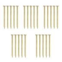 B&Q Picture Pins Brass Plated B&Q Picture Pins Brass Plated